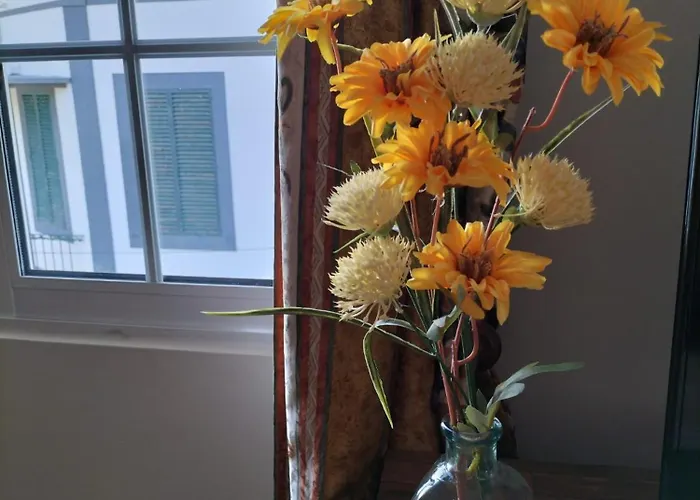 Hortasol B * Funchal (Madeira)