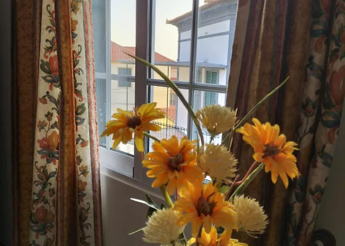 Hortasol B Funchal (Madeira)